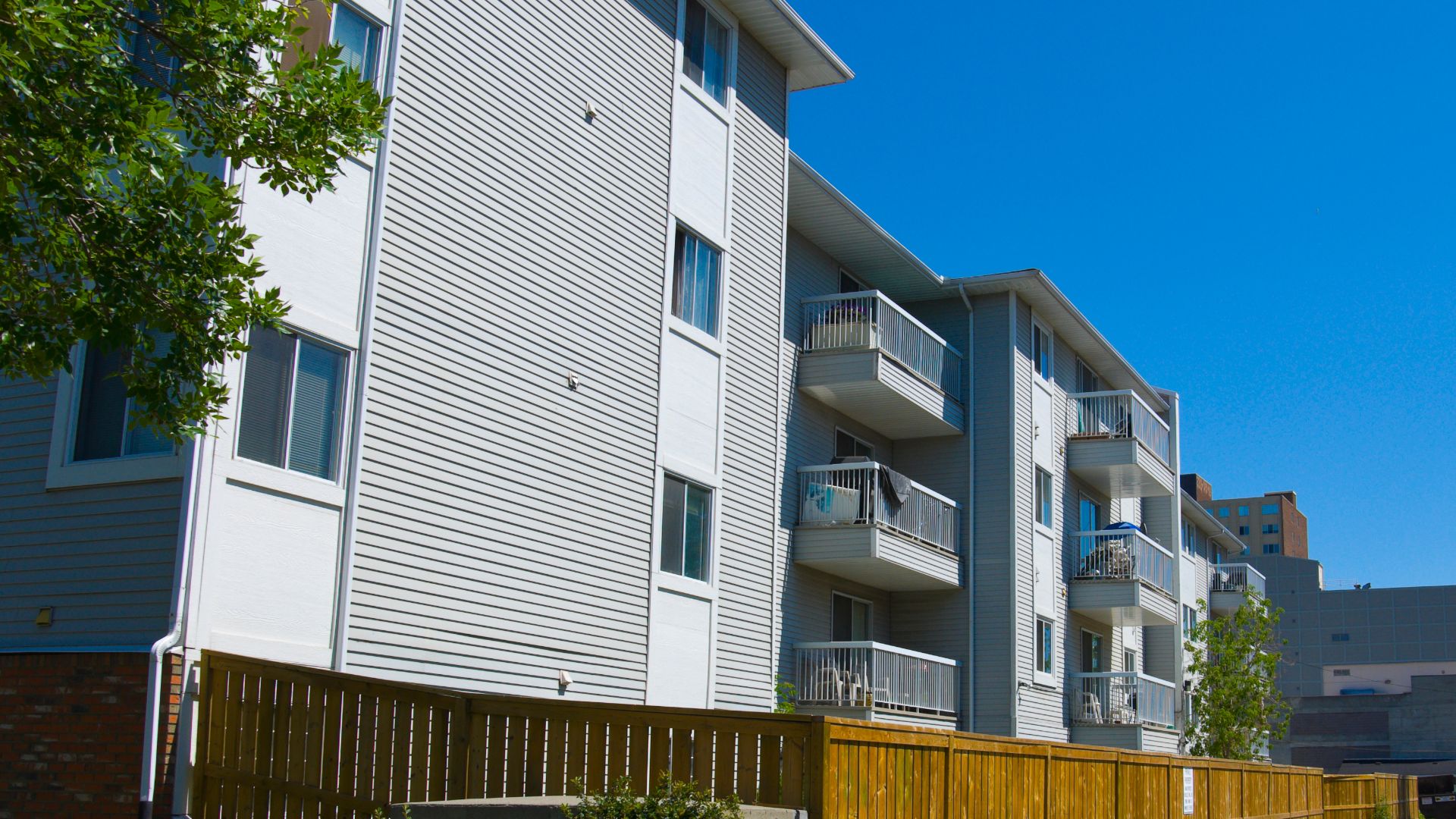 Photo inspiration: Gallery Detail: The 4 Most Common Apartment Pests And How To Deal