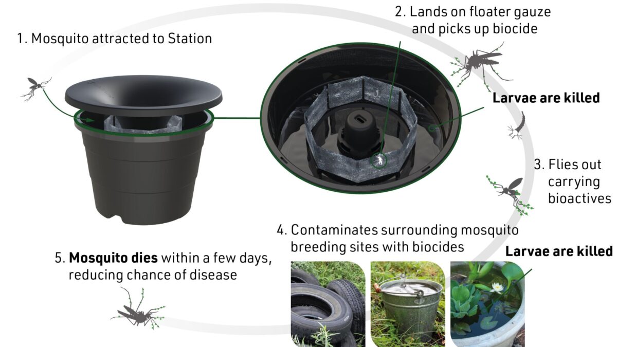 in2care mosquito control